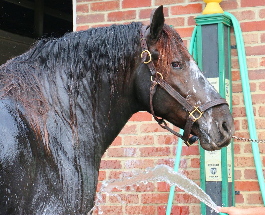 Looking regal even at bath time. (Julie June Stewart photo)